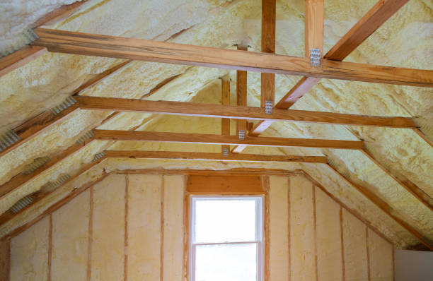 Best Geographic-Specific Insulation Services in Clyde, NY