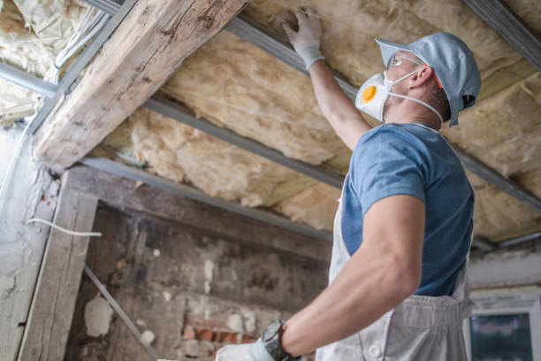 Best Specialized Insulation Services in Clyde, NY